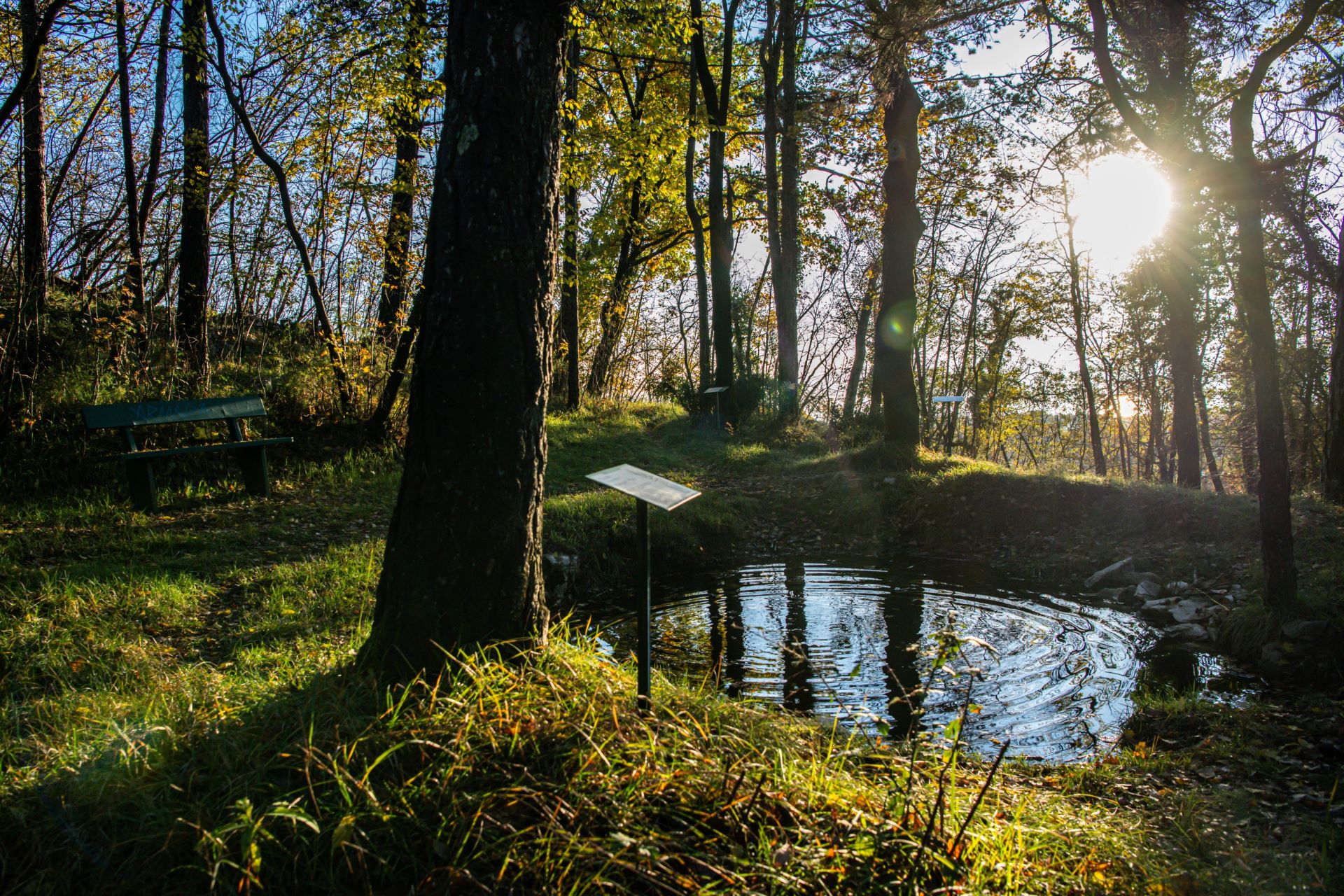 Walking trail from Kalić to kalić